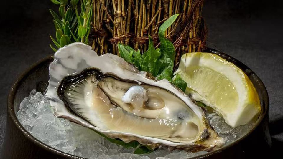 Ostra fresca com limão
